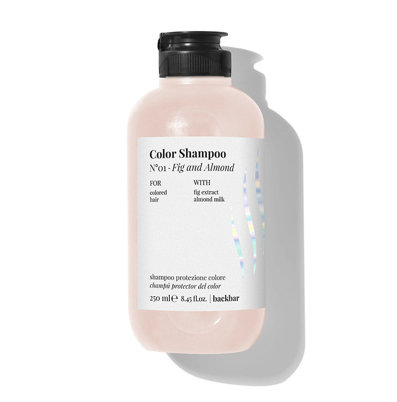 Color Shampoo protector de color 250ml | Back Bar