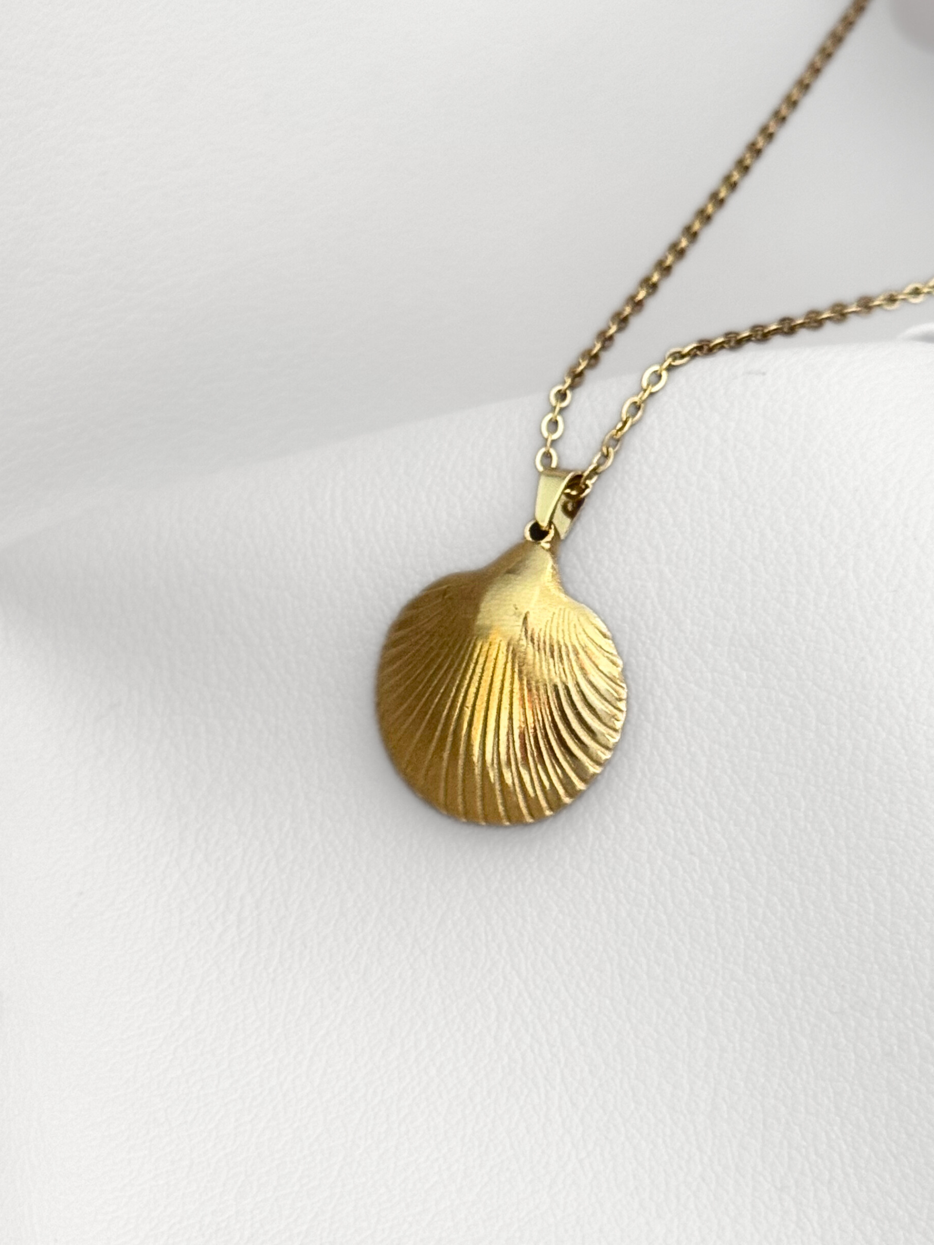 Collar Golden Shell Chic