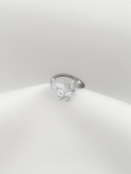 Anillo Silver Twin Butterfly