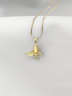 Collar Butterfly cute