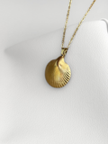Collar Golden Shell Chic