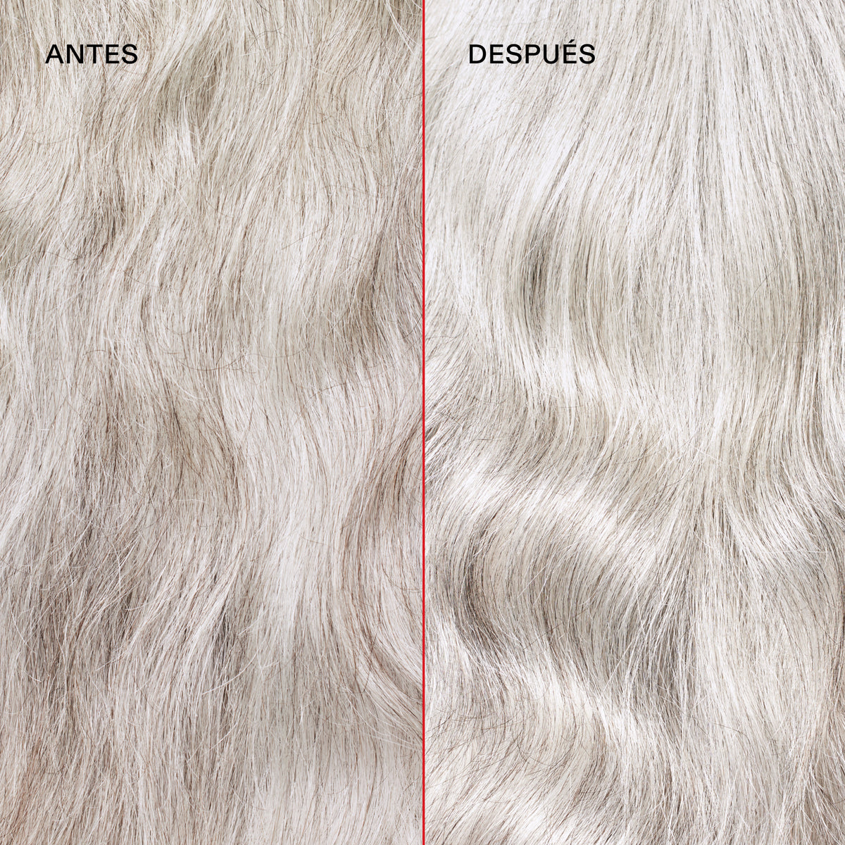 Olaplex Blonde Enhancer Toning Dúo Nº 4P + Nº 5P Shampoo y Acondicionador Matizador 250ml