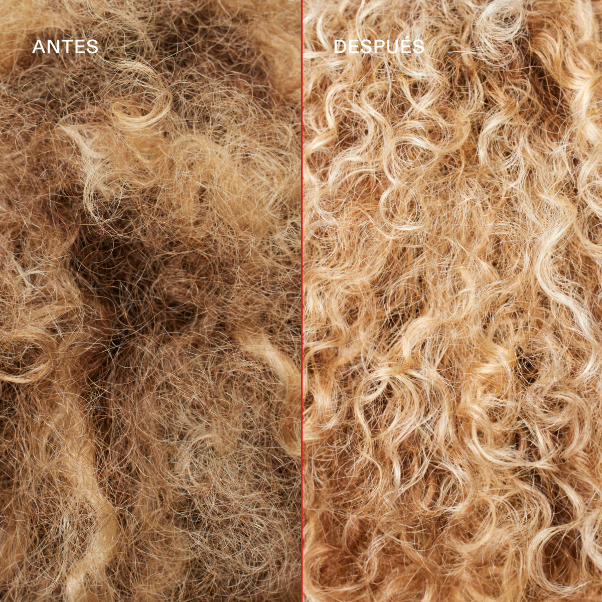 Olaplex Blonde Enhancer Toning Dúo Nº 4P + Nº 5P Shampoo y Acondicionador Matizador 250ml