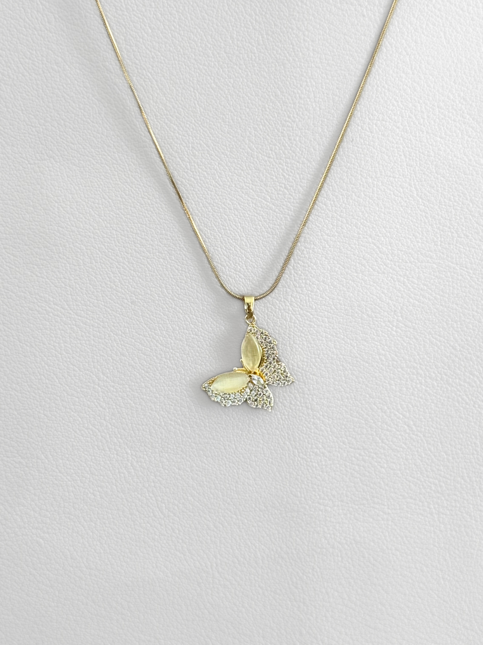 Collar Butterfly cute