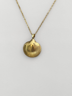Collar Golden Shell Chic