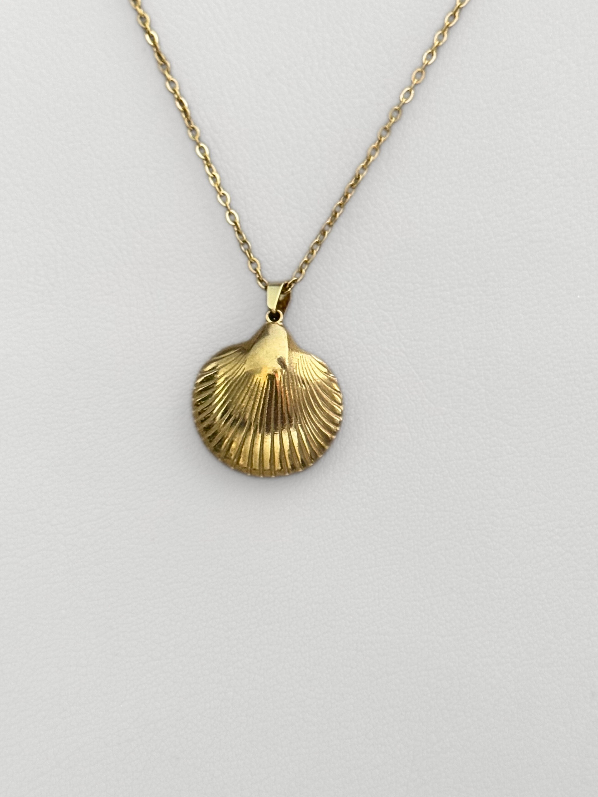Collar Golden Shell Chic