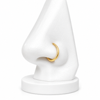 Piercing Aro Élodie | Braja Joyería