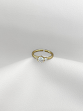 Anillo Classic Shine Gold