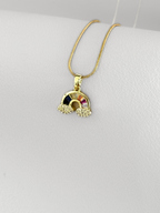 Collar Rainbow Shine
