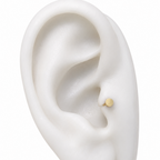 Piercing Isadora | Braja Joyería