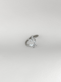 Anillo Silver Twin Butterfly