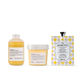 Davines DEDE Trio 250ml | Shampoo + Conditioner + The Circle Brillo