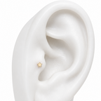 Piercing Estelle | Braja Joyería